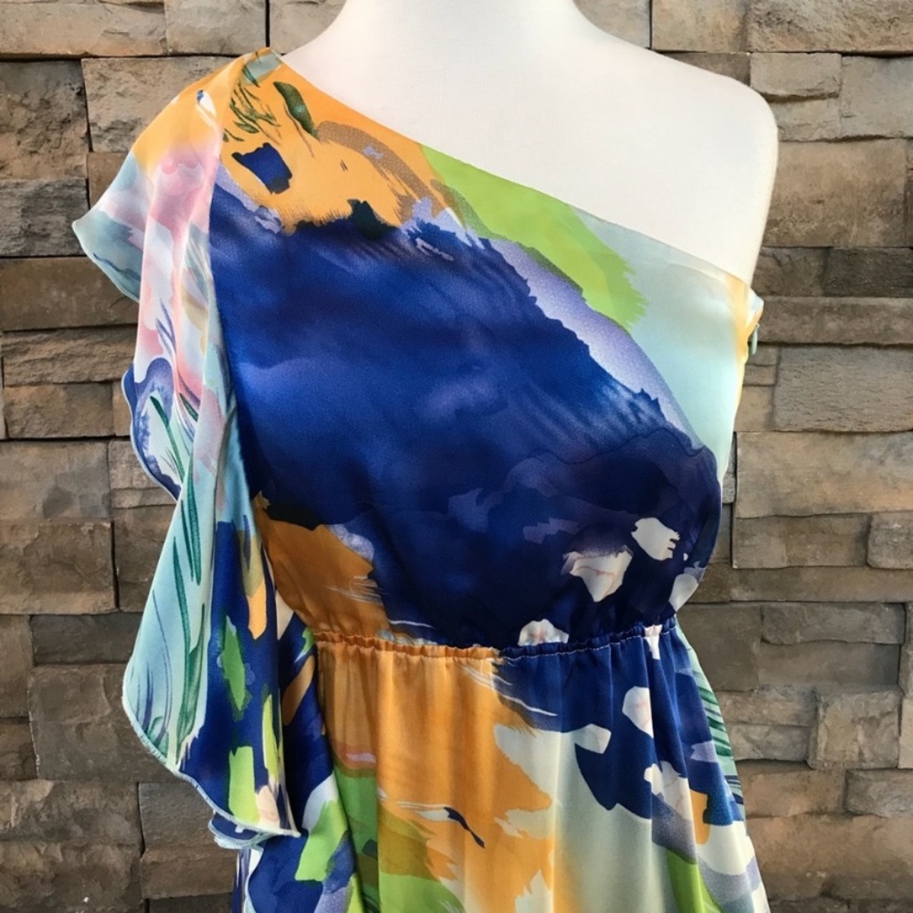 Arden B dress